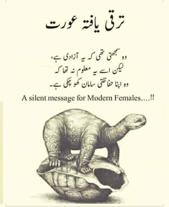 Muhammad Najeeb tipu tweet media