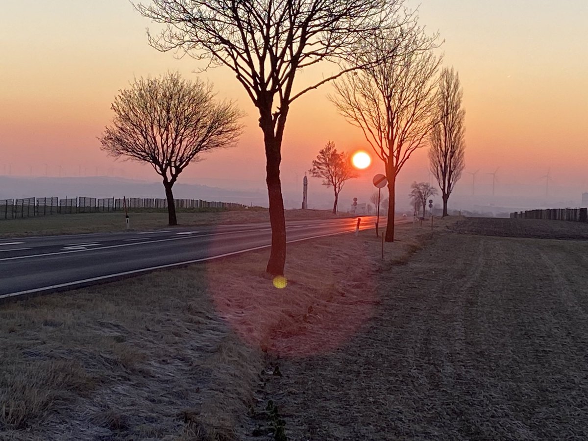 dandelionstweet's tweet photo. Ein Freund aus dem Burgenland schickt. Ich wünsche euch einen schönen Tag https://t.co/yxdtLhO3oI