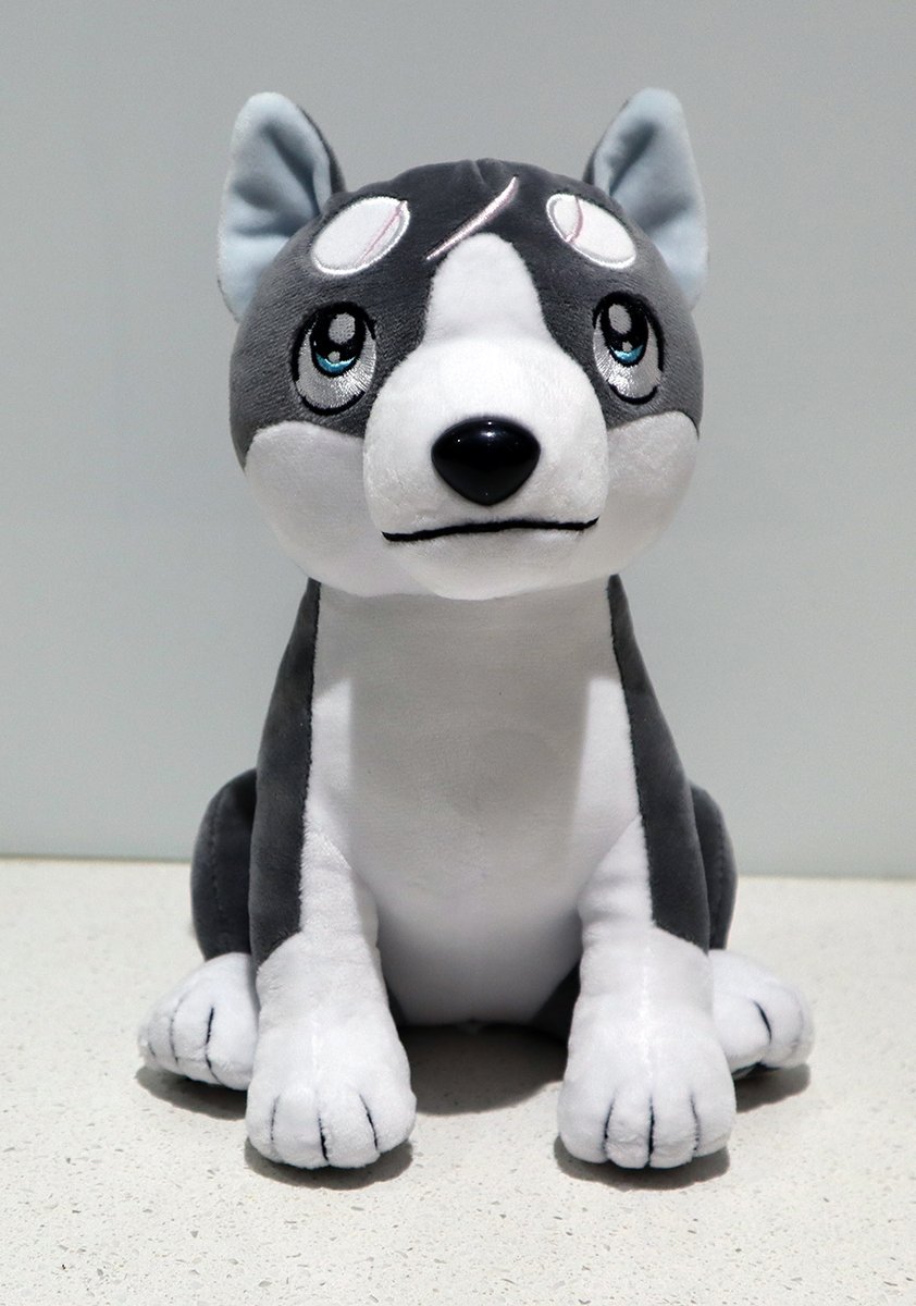 KasiKek's tweet photo. FaNeMa small Gin plush arrived.

#ginga #FaNeMa  #銀牙 https://t.co/QhwItSqZ1A