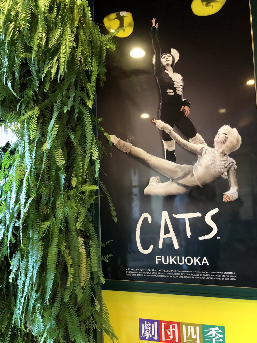 k_njaaa's tweet photo. 2021年10月9日 土曜日 キャナルシティCATS https://t.co/q9IKKVPvsh
