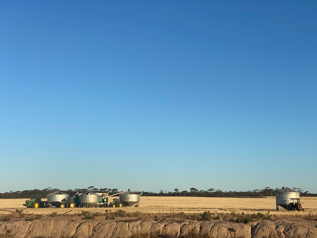 karensmithscl's tweet photo. Today #seedshield & #teamisrael completed the Maximus barley grading and treating for the Hyden Progress Associations community crop. We are so pleased to be able to contribute to regional communities. Thanks to the association for allowing us to be part of this event πΎπΎπ»π» https://t.co/UvzlWuxPQC