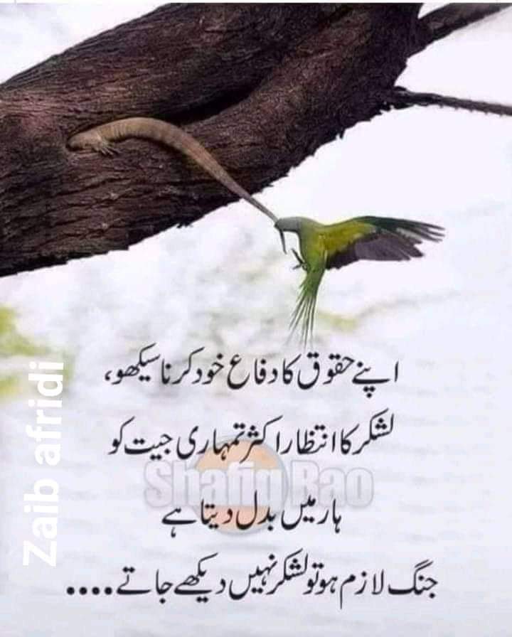 ImranRajpot16's tweet photo. https://t.co/d0mCKj3MiZ