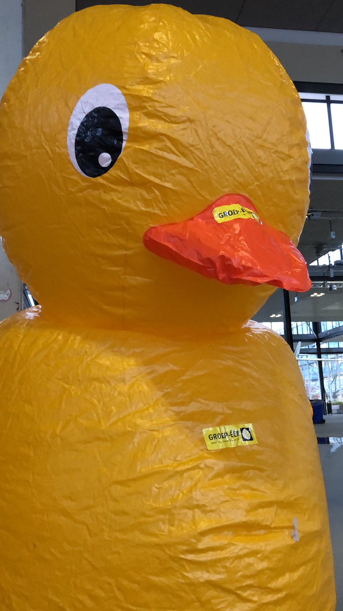 The duck is inflated once again! Time for elections! 🎉 #universitycouncil #tueindhoven