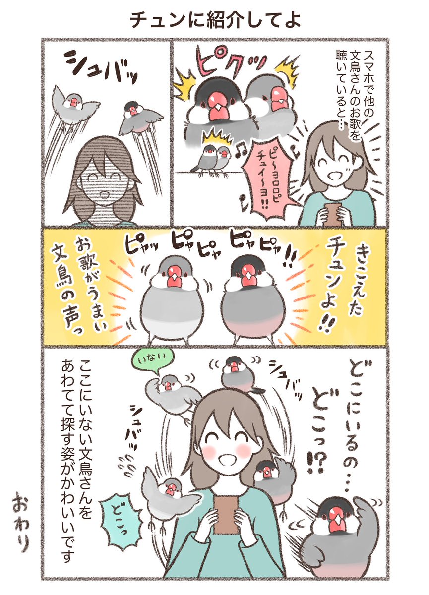 マンガ「チュンに紹介してよ」

※同人誌収録ver

#文鳥 #漫画が読めるハッシュタグ 