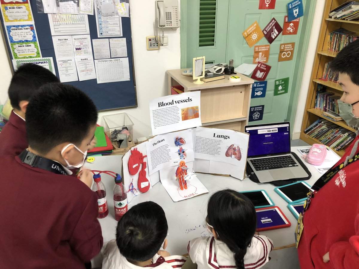 schmudkr's tweet photo. G5 presents their knowledge of the #humanbody systems to lower primary grades with their interactive models in our self made children’s museum! So much growth and fun! #socialskills #myCISB #pyp https://t.co/G0AbivNauF