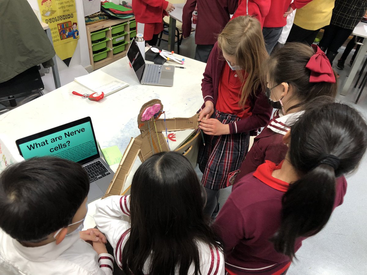 G5 presents their knowledge of the #humanbody systems to lower primary grades with their interactive models in our self made children’s museum! So much growth and fun! #socialskills #myCISB #pyp