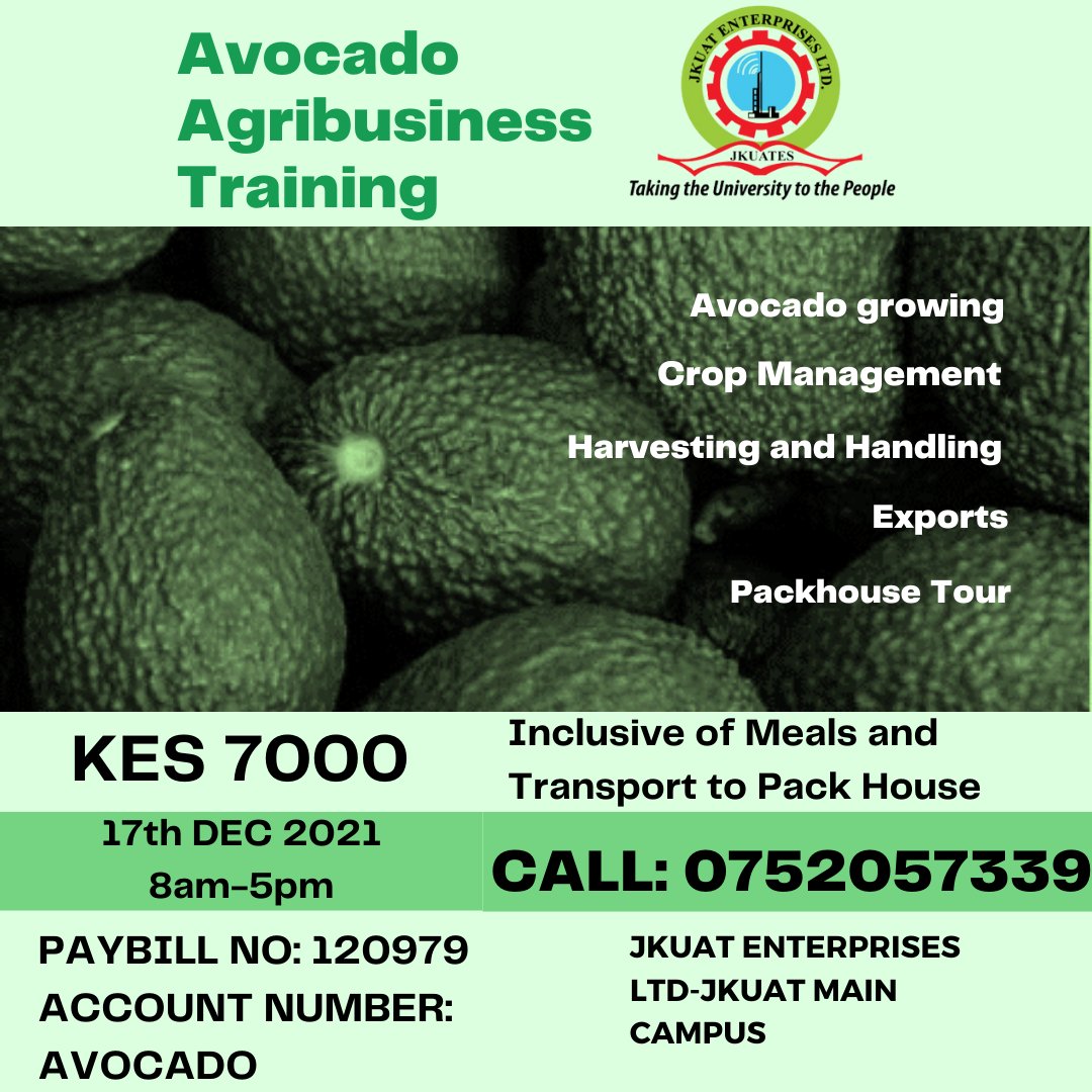 On 17th December 2021, JKUAT Enterprises Invites you to an Avocado Agribusiness Training. We will cover all aspects of the avocado sector from crop management, pests, and diseases, harvesting, and more! 
The training is KES 7000. Call us on 0752057339 to book a slot.