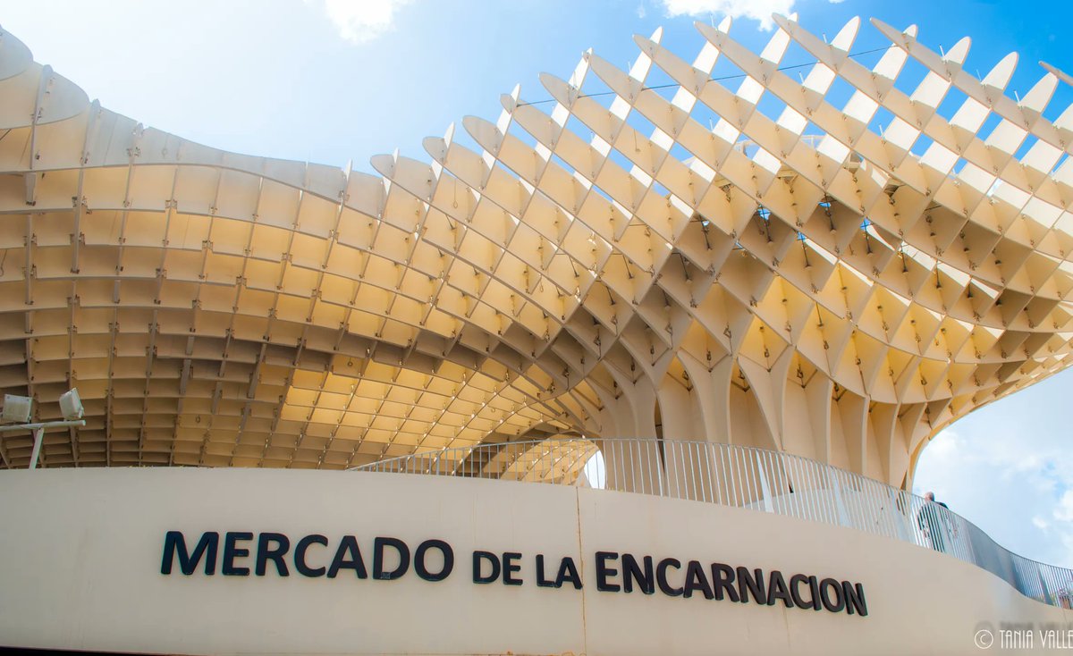 Desde el Mercado de la encarnación queremos felicitar a todas las Inmaculadas, Inmas, Conchas y Conchitas. ¡Feliz día de la Inmaculada! ✨
📷 Tania Valle