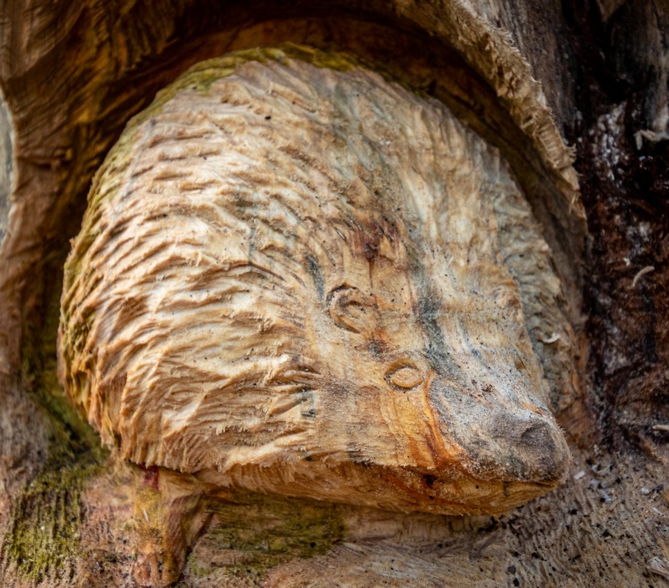 Burwell House tweet media