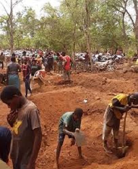 Sauvons l'environnement d #Gaoual, <a href="/LLouopou/">LAMAH Louopou</a>  <a href="/PNUDGuinee/">PNUD Guinée</a> <a href="/EnvironnementG/">Environnement Guinée</a>  et sauvons le taux d'éducation ds enfants d Gaoual #GuillaumeHawing  <a href="/condemory2/">Mory CONDE</a> <a href="/diallousmane/">Ousmane Gaoual Diallo</a> n'oublions ps ls conséquences du réchauffement climatique, surtt la nn scolarisation ds enfants