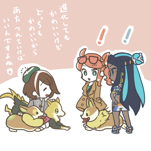 ソードシールド かわらずのいしの入手方法と効果まとめ ポケモン剣盾 攻略大百科