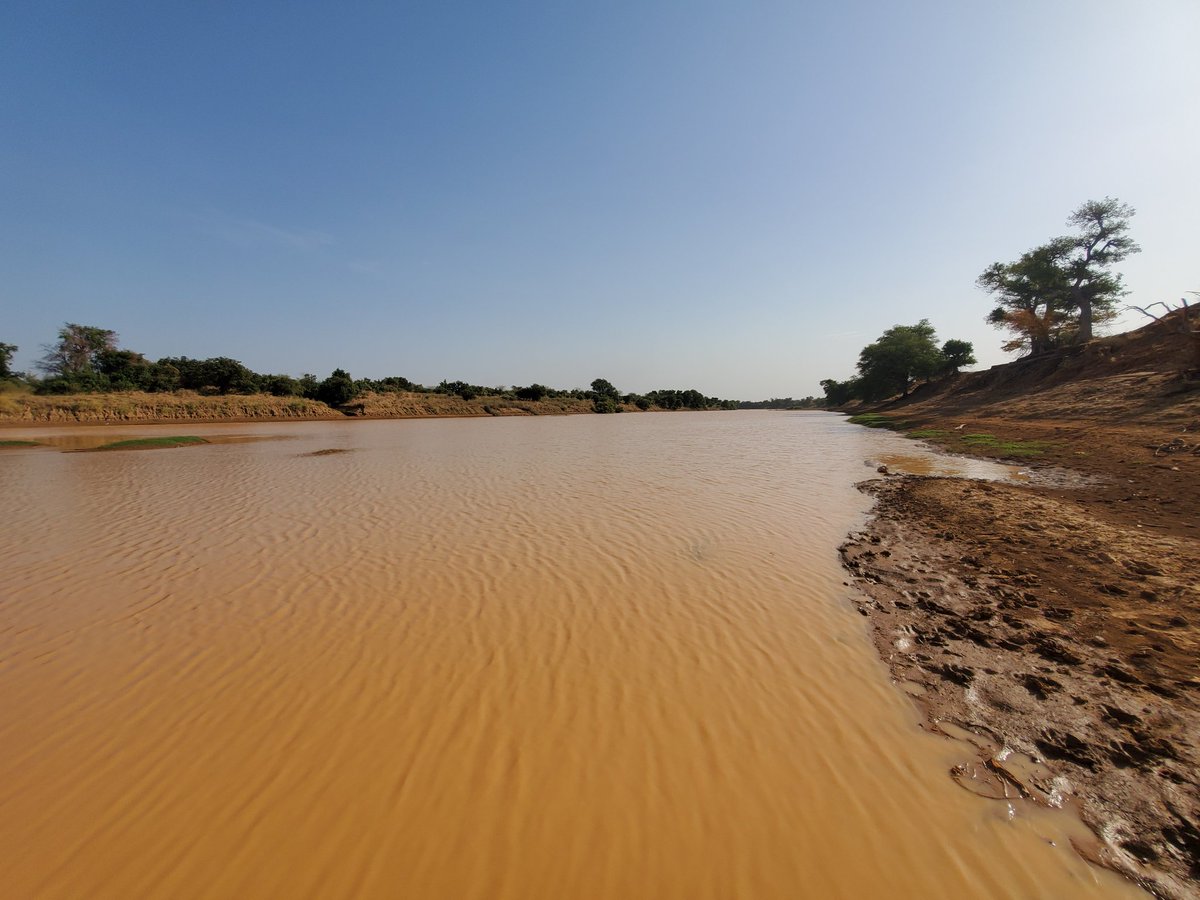 Samou46's tweet photo. Dokhantou sur les rives de la #Faleme dans la #RNC_Boundou.
Un cadre de dépaysement et de rencontres inédites.
Grand probleme : la pollution de la rivière à cause de l'orpaillage. https://t.co/7a1Y1Ieji8