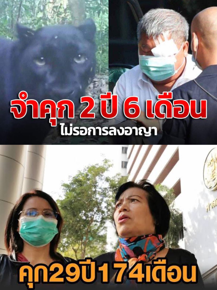 ลูกอีหน่อแตด tweet media