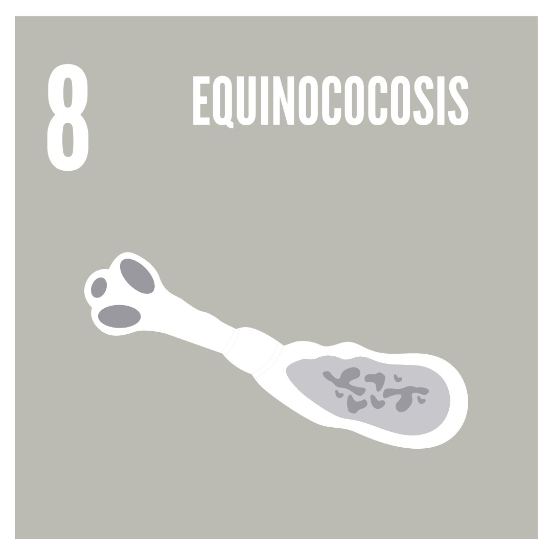 cocoopsi's tweet photo. Día 8 Equinococosis
🏥La equinococosis es una enfermedad parasitaria provocada por tenias del género Echinococcus
👩🦰hay más de 1 millón de personas afectadas por equinococosis.
👩⚕️La ecografía es la técnica de elección para el diagnóstico @ecoapcat
#EndTheNeglected #beatNTDs https://t.co/rSx6BlBteC