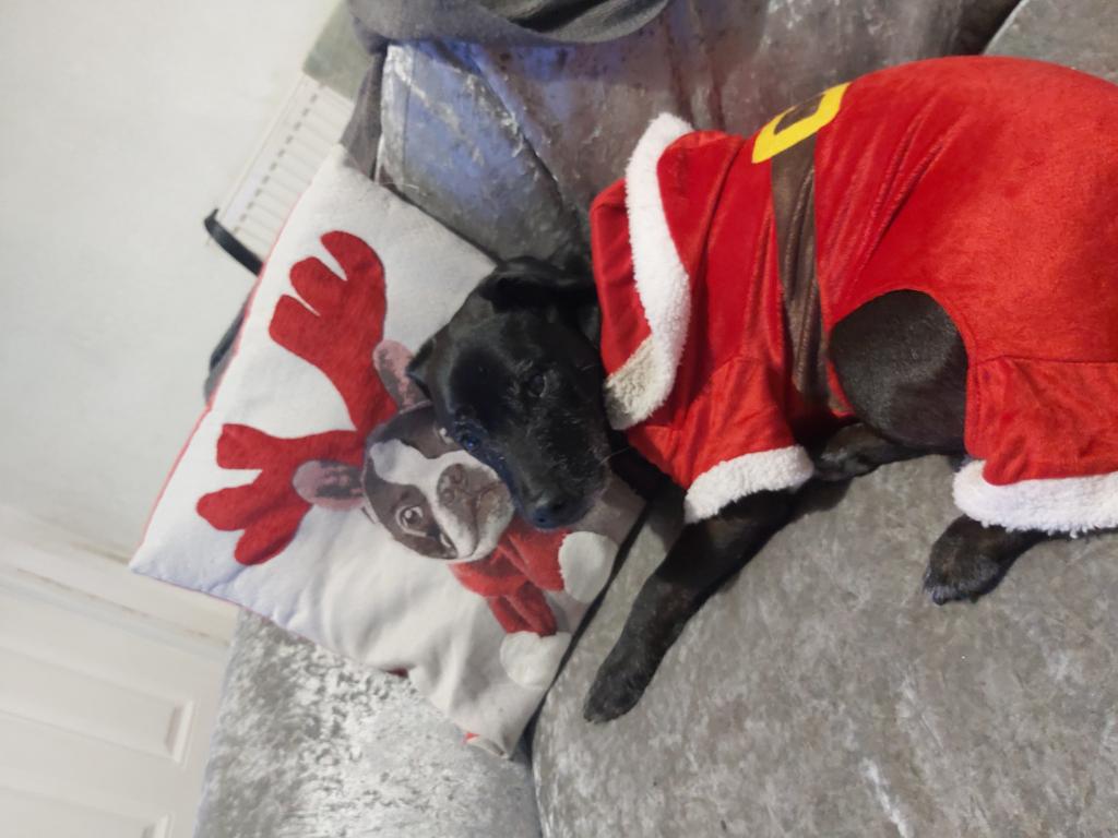 Christmas ready! <a href="/lovemeadowhall/">Meadowhall</a> #MHChristmas