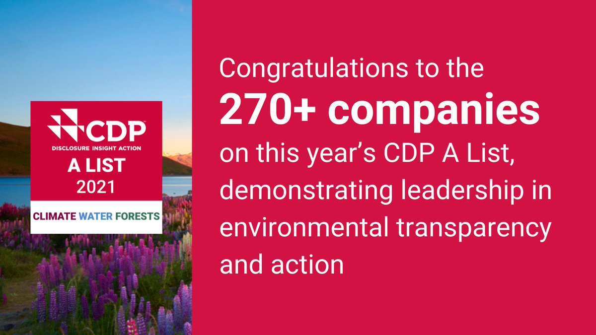 A record breaking 13,000+ companies disclosed through CDP in 2021 and 270+ made the #CDPAList2021. See who is leading the way on #EnvironmentalTransparency: bit.ly/CompanyScores2…