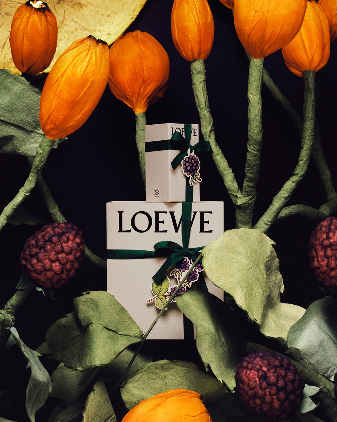 LOEWE JAPAN / ロエベ ジャパン on X: 