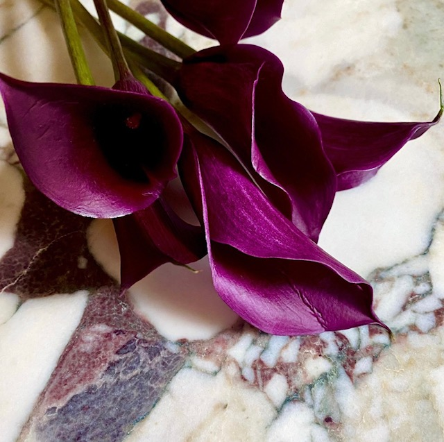 Calacatta Viola HIGH DEMAND
.
.
.
.

#GORGEOUS #stone #stonedallas #alliedgallery