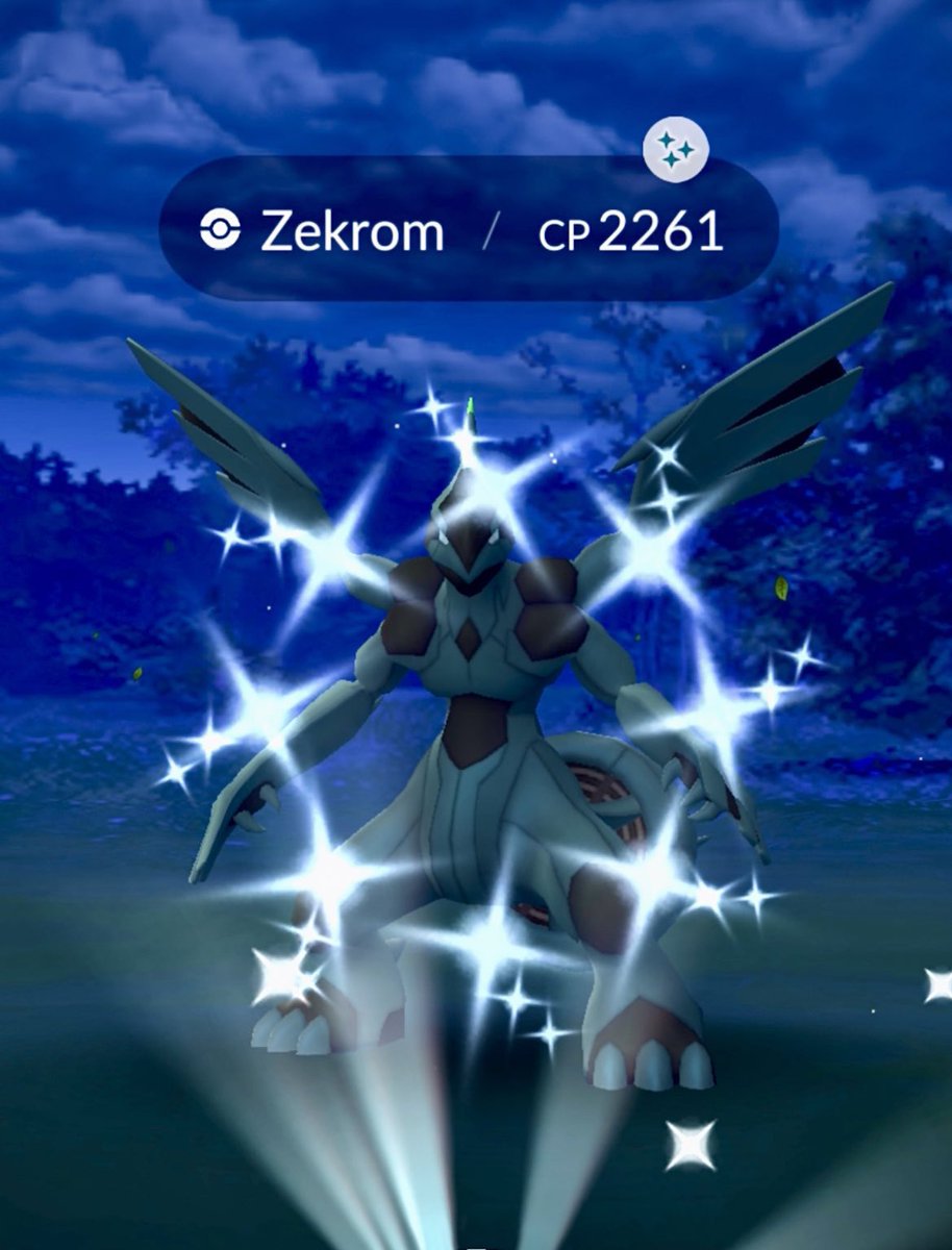 CoolCatHat1's tweet photo. Second 100% Zekrom 🎉🥳✨#Pokemon https://t.co/YEcCzbCYjJ