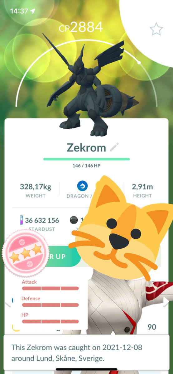 CoolCatHat1's tweet photo. Second 100% Zekrom 🎉🥳✨#Pokemon https://t.co/YEcCzbCYjJ