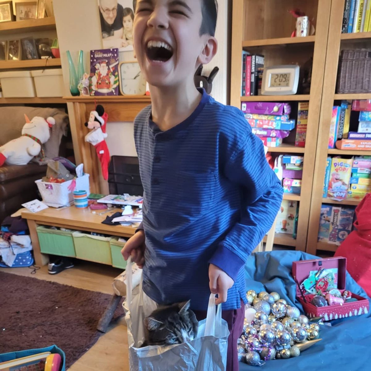 drdeanburnett's tweet photo. In lighter news
When we put the decorations up this weekend, Pickle decided he really liked on particular carrier bag, and steadfastly refused to leave it. So that was fun.
#Pickle #Cat #Cliched #BagsOfFun https://t.co/ulI79wdj6R