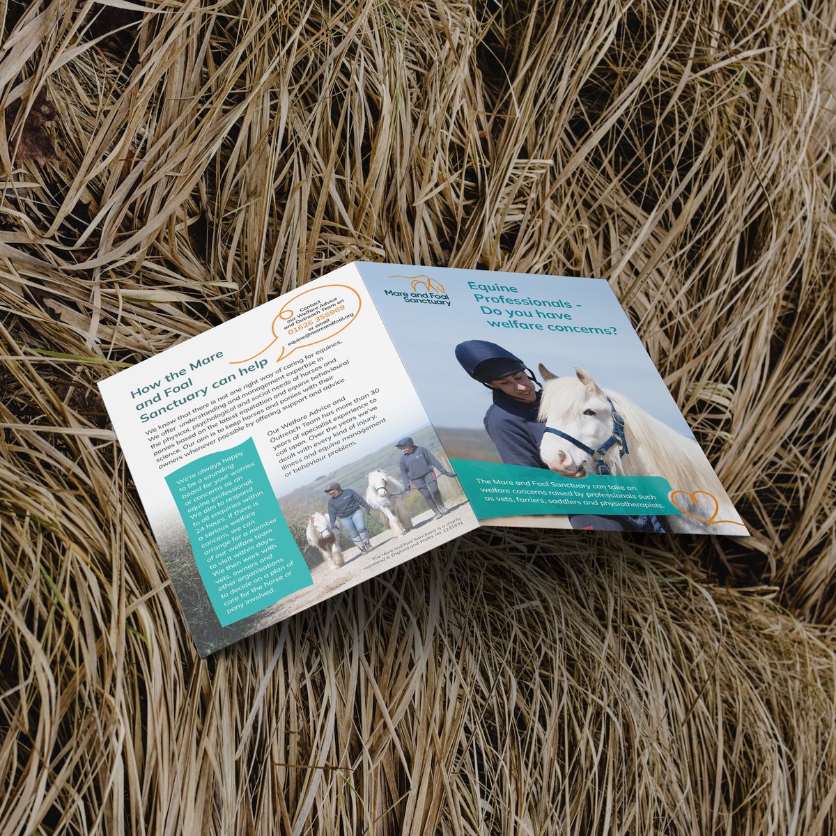 Scribble and Think tweet media