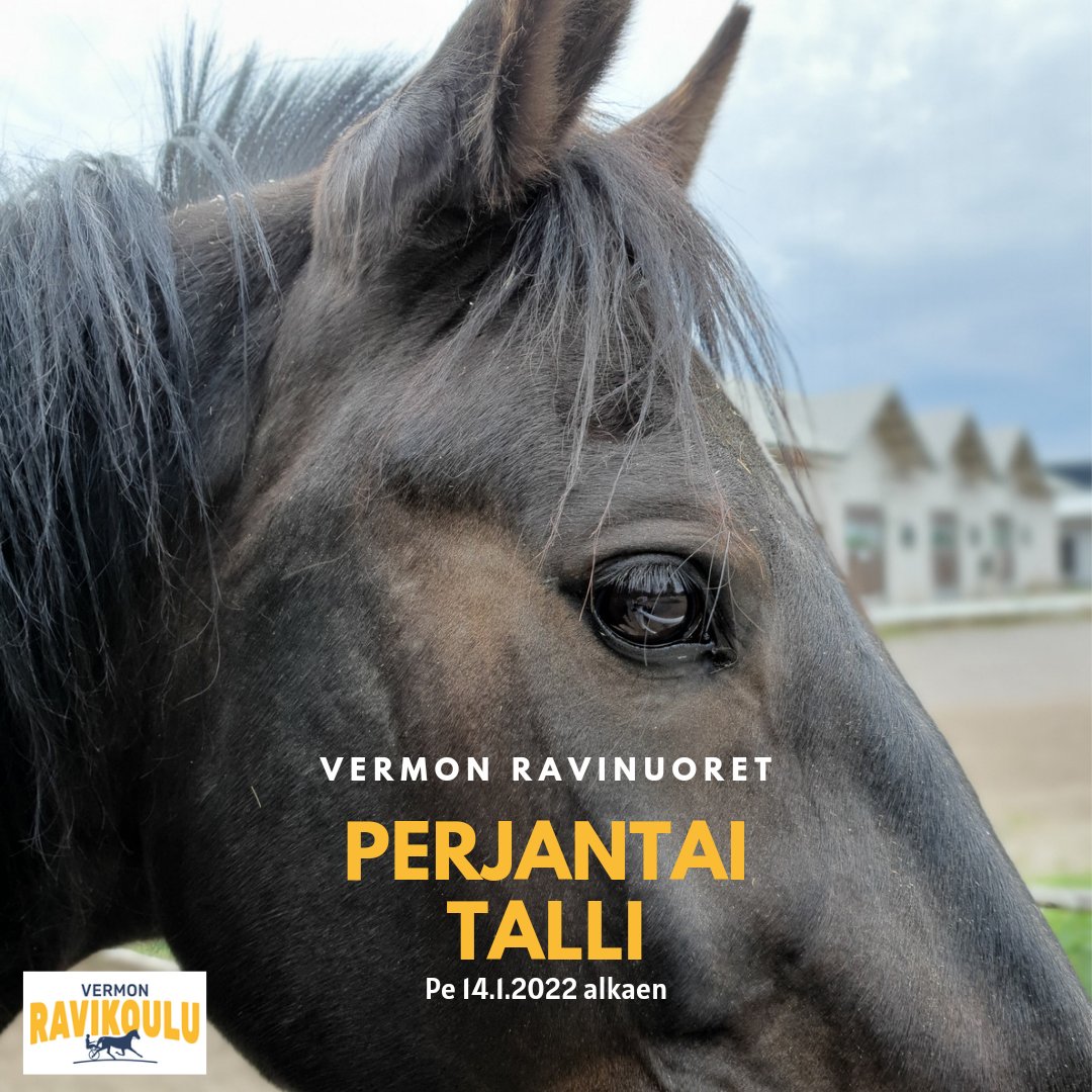 #raviharrastus nuorille Pääkaupunkiseudulla, ei maksa mitään 🐴 Perjantaisin 14.1.22 alkaen. <a href="/VermonRavikoulu/">Vermon Ravikoulu</a> Perjantai-talli osoitti vuosi sitten tarpeellisuuden, saavutti suosion(!) ja joutui tauolle koronan vuoksi. Tervetuloa #nuoret 16-29v tallille. Tuu sellaisena kun oot!