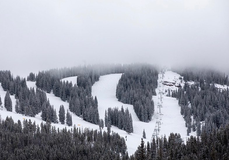 vailmtn's tweet photo. We’ll take more of yesterday’s wintry mood. #winterwednesday https://t.co/1dloT0A72S