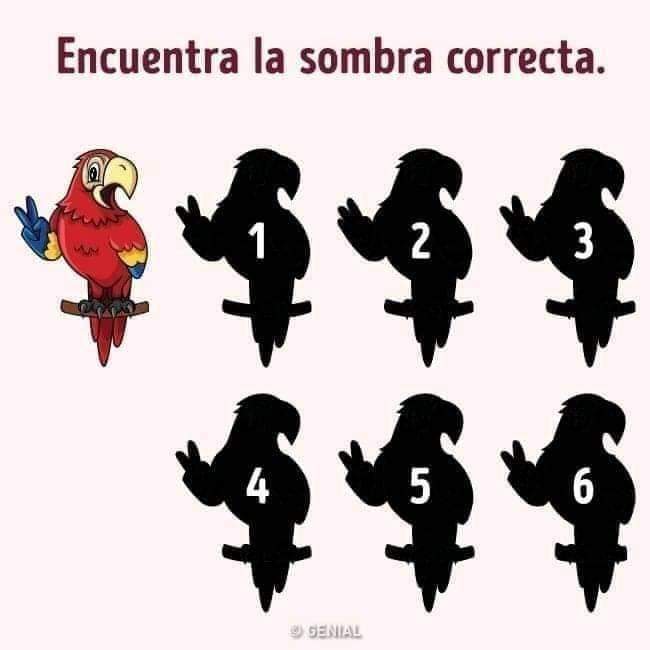 Roy Campos tweet media