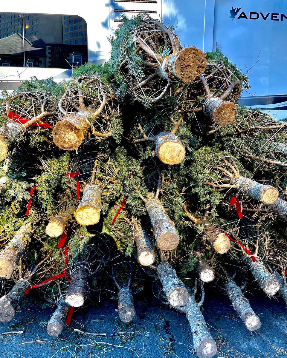 evergreenfestns's tweet photo. Head down to the Mental Health Foundation’s Tree Lot of Kindness to pick up your Christmas tree! 🎄

Our friends at Keddy’s Christmas Trees have brought them in from New Ross, NS! ☃️

Price range: $30-$80 
($5 from every tree sold goes to @MentalHealthNS) 

#EvergreenFestivalNS https://t.co/F09K4tbxtH