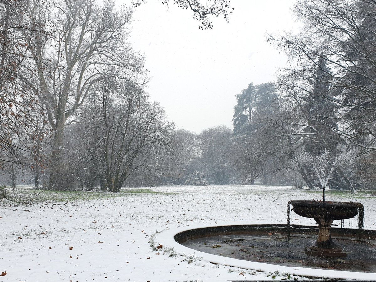 Fondazione Magnani Rocca tweet media
