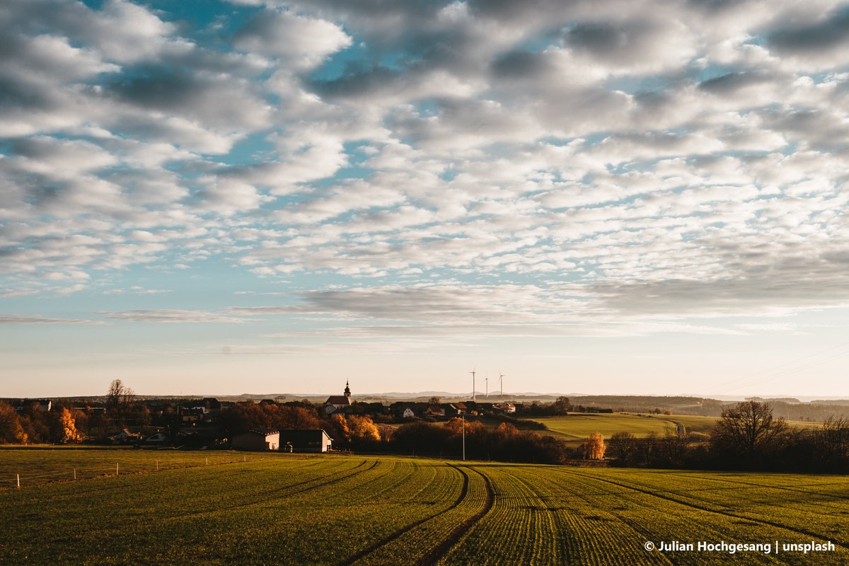 querFELDein tweet media