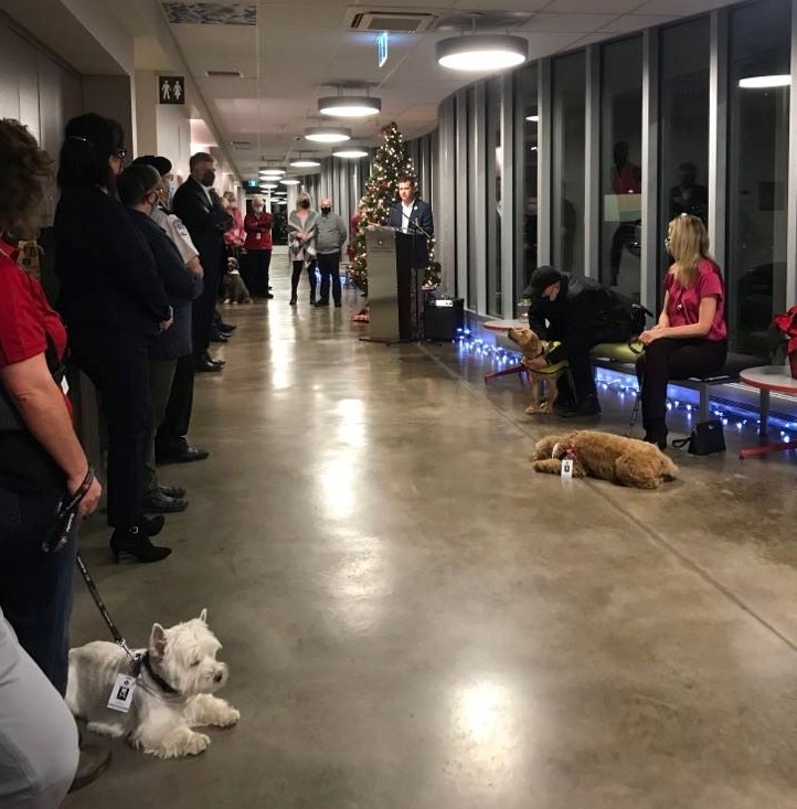 Robin McNeil tweet media