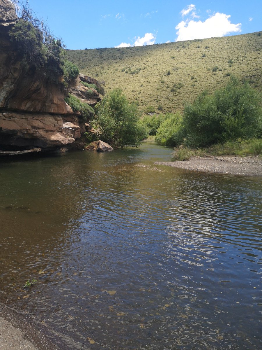 kathleenu2's tweet photo. Here fishy fishy fishy!
#flyfishing #rhodeseasterncape #bellriver https://t.co/wdMZrhXIVf