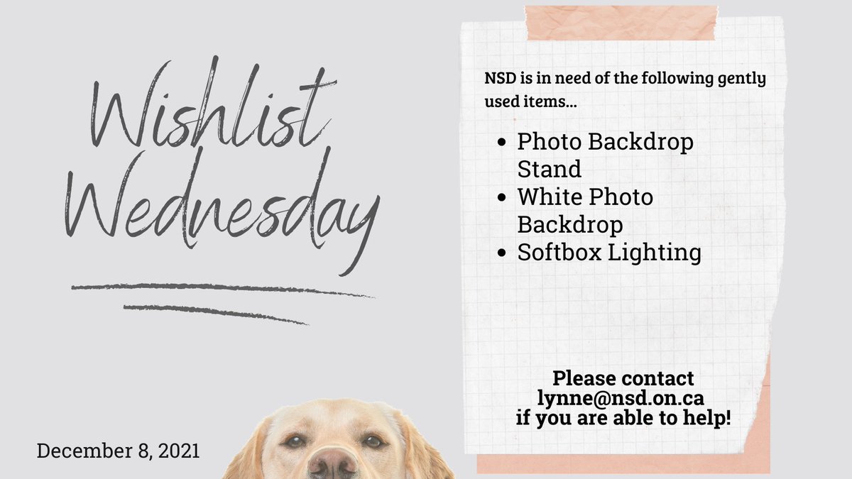 #WishlistWednesday Our communications team is looking for the following items...

Photo Backdrop Stand - amzn.to/3oQMss5  
White Photo Backdrop - amzn.to/3l24jLH 
Softbox Lighting - amzn.to/3oTOnfl