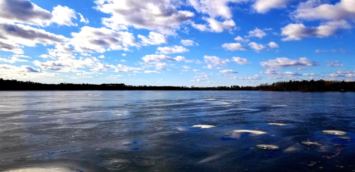 Don⚓🛥💫🤪 tweet media