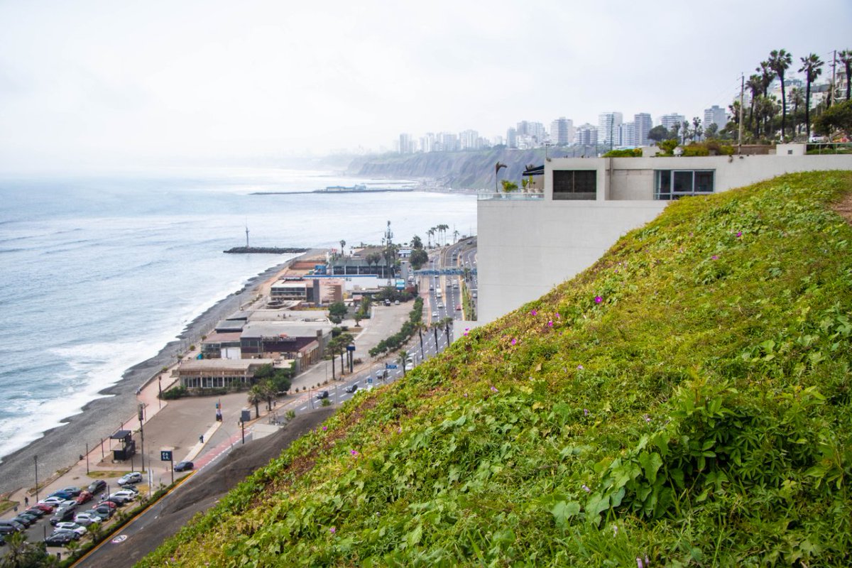Barranco_Muni's tweet photo. ♻️POCO A POCO ESTAMOS RECUPERANDO NUESTRAS ÁREAS VERDES♻️
🌱Gracias a la implementación del sistema de #riego por goteo, así como el mantenimiento de las áreas verdes seguimos avanzando en la recuperación de nuestros #malecones y #acantilado 🙌 https://t.co/eb8YzwtUSD