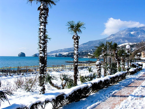 Сирийские школьники в «Артеке». Какая программа ждет иностранных гостей детского центра в Крыму? - патриотам.рф/sirijskie-shko…