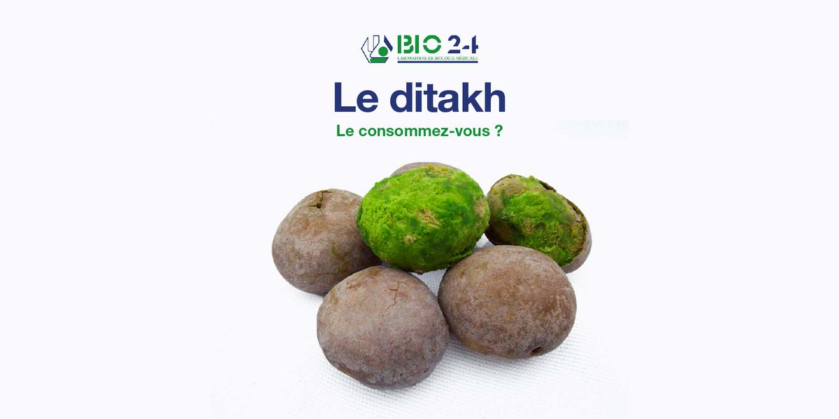 labobio24's tweet photo. Le ditakh est un excellent fruit! Il est  riche en vitamine C et contient une forte teneur en saccharose ; minéraux. 

Il nous procure de l’énergie. Caractérisé par sa pulpe verte, le ditakh est utilisé dans le traitement de la toux, rhume, angines, douleurs des reins. 

#Bio24 https://t.co/52rbqsMHZ4