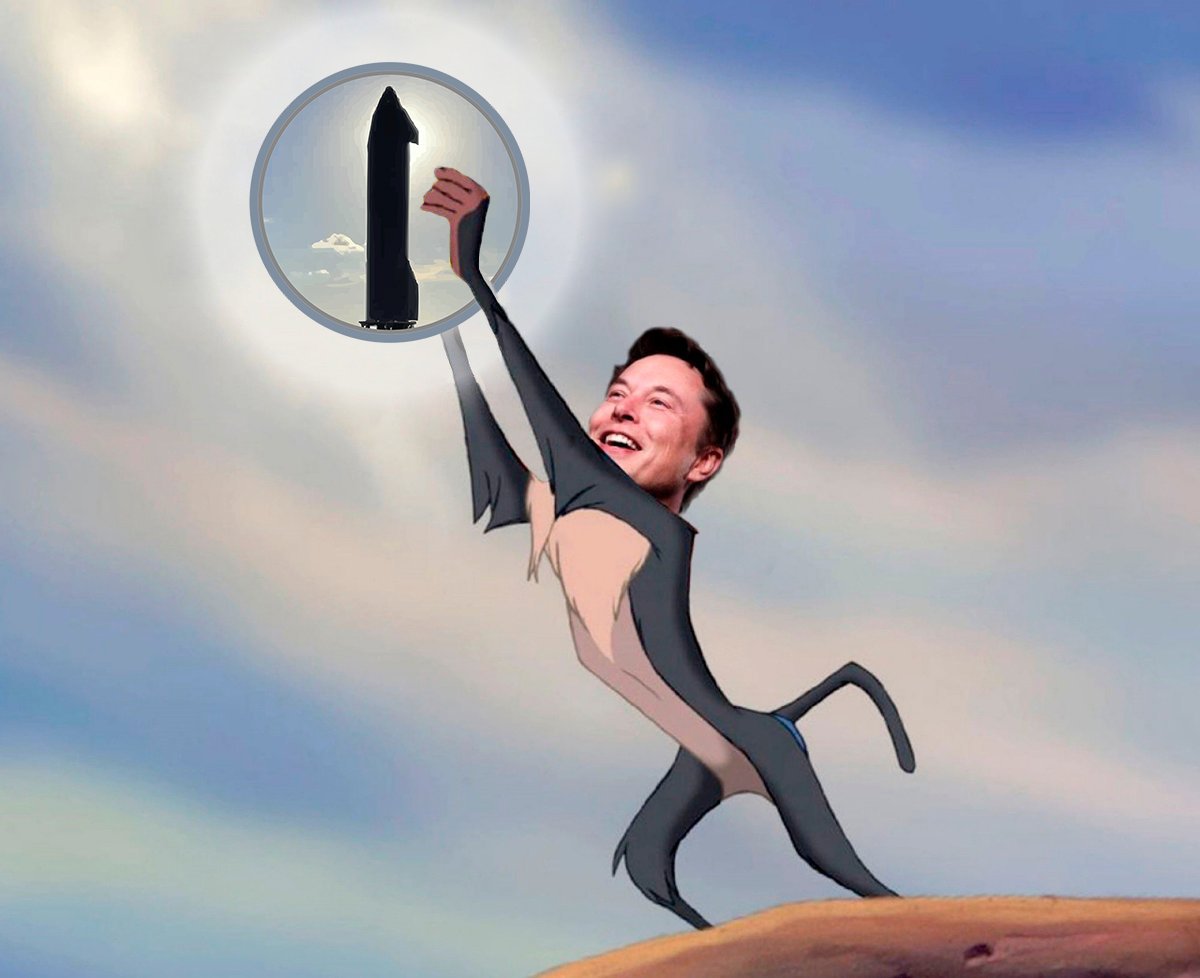 New secure token $LORDEDGE 🎉

<a href="/elonmusk/">Elon Musk</a> approves 🔥🔥🔥

#lordedge #ElonMusk #newtoken #NewCoin #rocket #shibainu #tokens #dogecoin