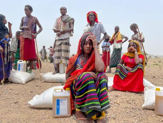 Tahir_A_Ebrahim's tweet photo. Afarlivesmatter!
#TheAfarsareSoHuman!
According to V. President of Federation House Zahra Humed there are one million three hundred thousand people in need of emergency humanitarian aid due to the barbaric attacks from #TPLF.
@Refugees @UNICEFEthiopia @USAIDEthiopia https://t.co/F0CHn48k9F