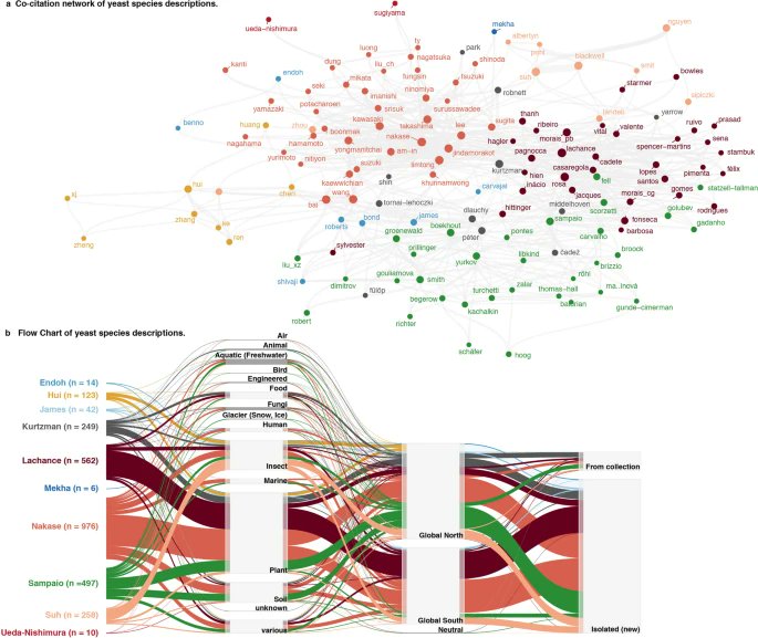_Westerdijk_'s tweet photo. So many Yeasts, so little time.....in this article we analyze trends in the discovery of yeast diversity. Depending on the parameters used we estimate that it will take several hundred to > 1000 years to describe the globally existing yeast diversity. https://t.co/nLGHLQqdLz https://t.co/N3GzAva6H9