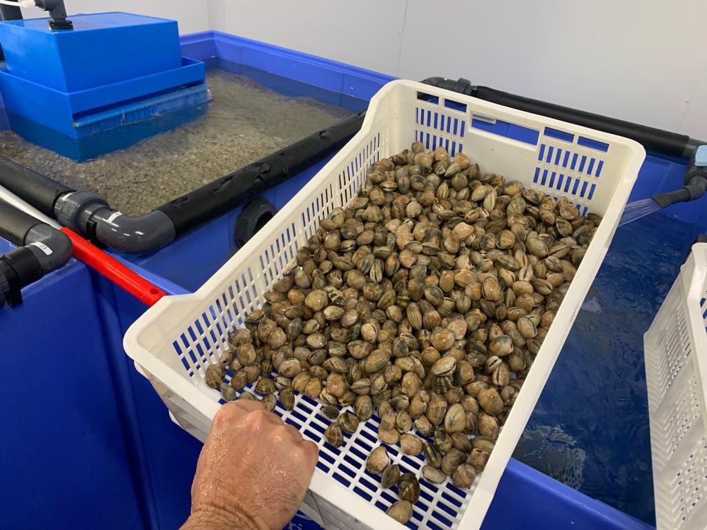 CristianMaretti's tweet photo. Ieri con #NicolaTontini a Cattolica , a visitare lo #Stabulario della #CoooerativaCasaDelPescatore https://t.co/7tjKa5ehZh