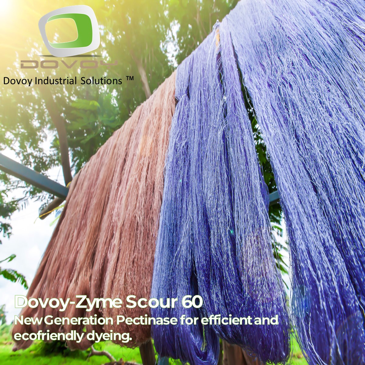 dovoyinc's tweet photo. The conventional harsh boiling process is slowly being replaced with environment-friendly neutral pectinase enzyme #Dovoy-Zyme Scour 60 which enhances the absorbency of fabric without affecting the strength and smoothness of cellulosic substrate.
#DovoyIndustrialSolutions https://t.co/w8wipvt8Ap