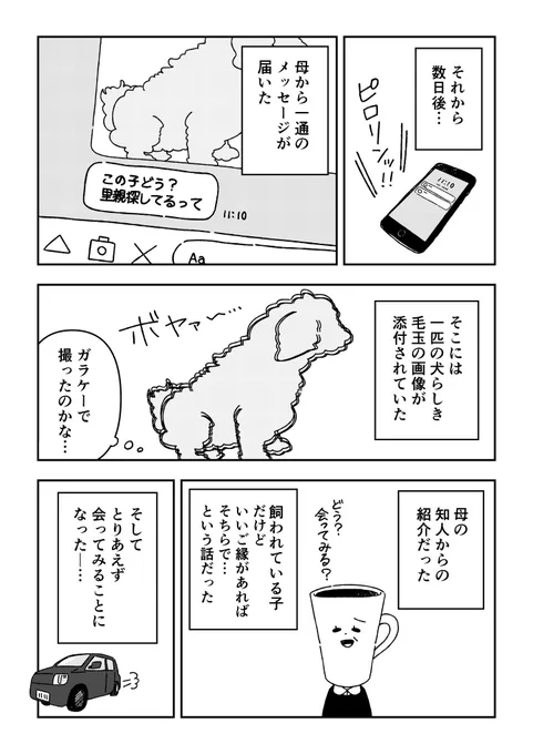 (3/6) 