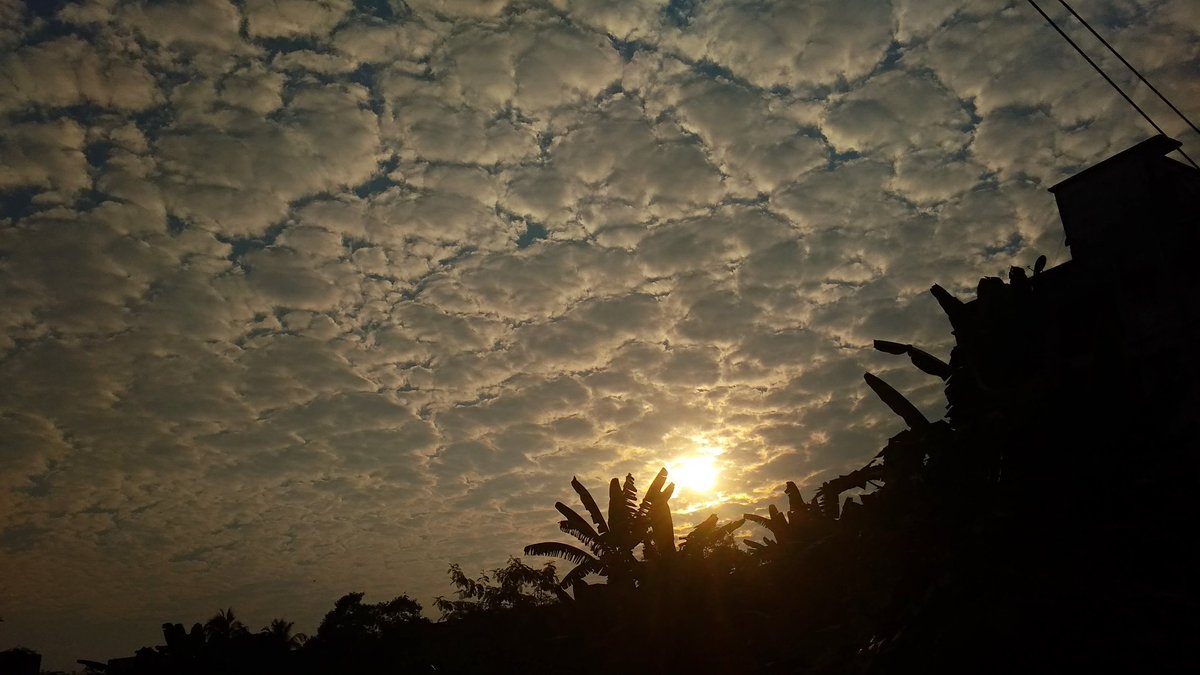 CycloneAnalyser's tweet photo. #Macarel sky,indicate rain's coming
A Easterly trough extending upto 900 meter from MSL in #BOB may bring cloudy sky with drizzle in extreme coastal areas of #Gangatic #WestBengal https://t.co/ox9RSOacjR