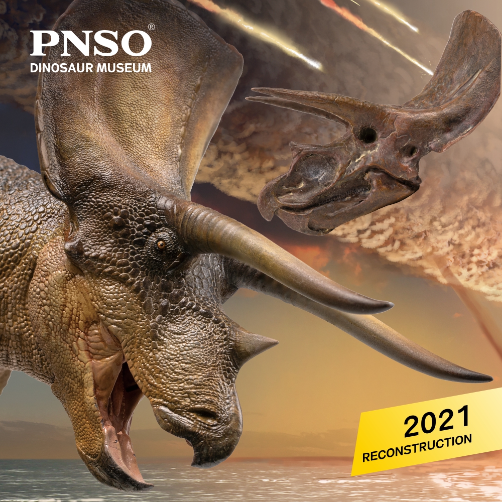 pnso_official's tweet photo. Ta-da, the 2021 new edition Doyle the Triceratops is coming! The online sale of this model from #PNSO Dinosaur Museum series will be available from PNSO Amazon (US) and PNSO AliExpress soon. 
-
#dinosaur #prehistoric #animals #earth #art #toy #scientificart #paloart #triceratops https://t.co/psrwcBAEGs