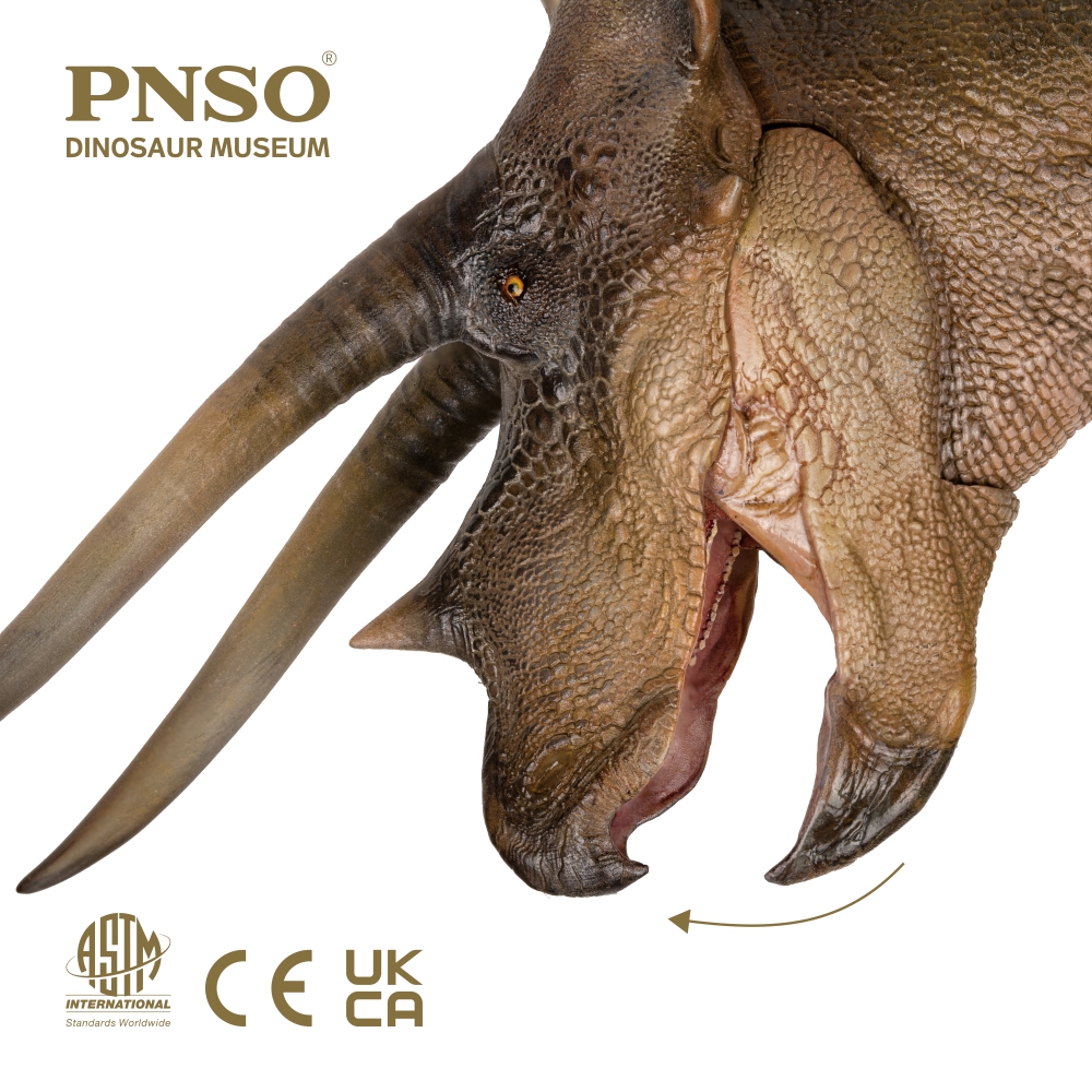 pnso_official's tweet photo. Ta-da, the 2021 new edition Doyle the Triceratops is coming! The online sale of this model from #PNSO Dinosaur Museum series will be available from PNSO Amazon (US) and PNSO AliExpress soon. 
-
#dinosaur #prehistoric #animals #earth #art #toy #scientificart #paloart #triceratops https://t.co/psrwcBAEGs