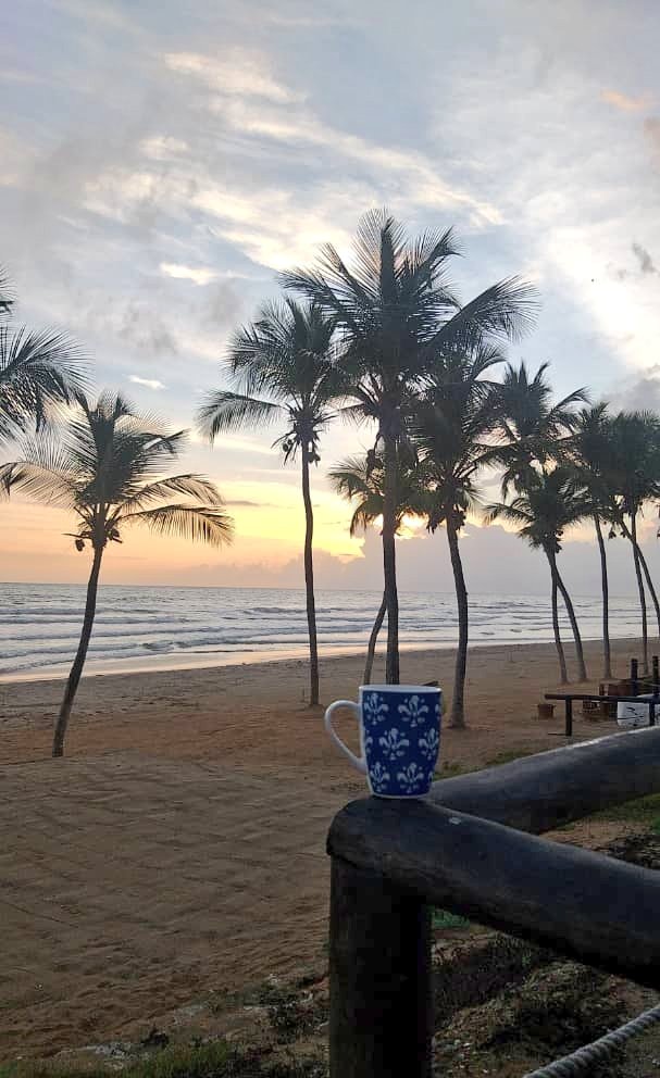 Andresanna0621's tweet photo. Haz más de eso que te pone a vibrar el Corazón!! ❤️
Buenos días...💫
#cafeconmar
#playaguacuco
⛅✨⛅✨⛅✨⛅✨⛅✨⛅ https://t.co/gEMJmikrEg