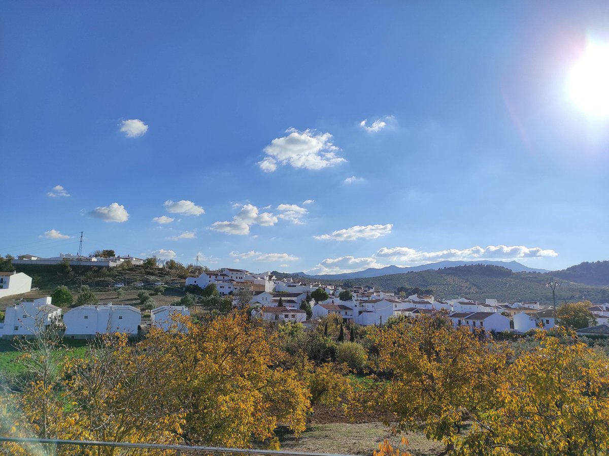 CRuralElSendero's tweet photo. #FelizMiercoles #DiadelaInmaculada ! Felicidades #Inmaculadas y #Conchis desde #ElBurgo, en pleno #ParqueNacional #SierraDeLasNieves, #Malaga, #Andalucia, #CasaRural https://t.co/MAfNhnwWef https://t.co/y3Y9MfeLHq